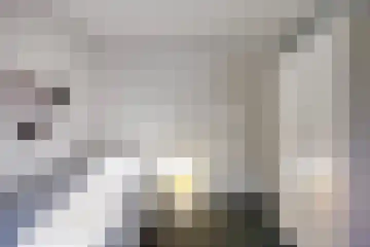 Kraanvogellaan 57 's-Hertogenbosch thumbnail 39