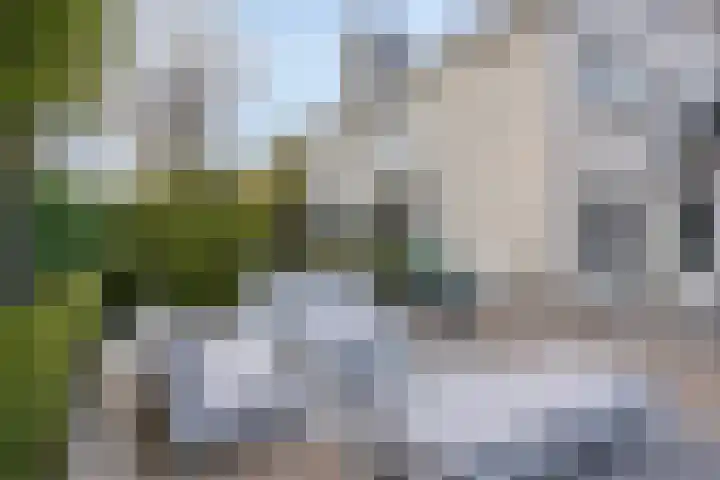 Kraanvogellaan 57 's-Hertogenbosch thumbnail 59