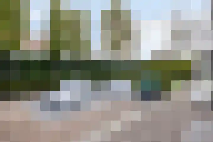 Kraanvogellaan 57 's-Hertogenbosch thumbnail 60