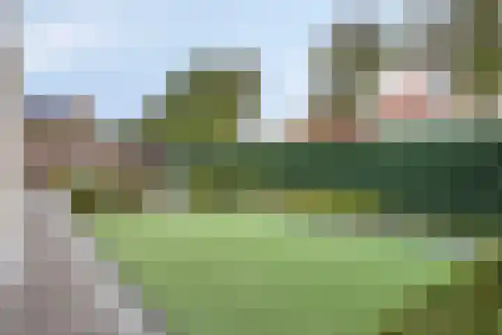 Kraanvogellaan 57 's-Hertogenbosch thumbnail 62
