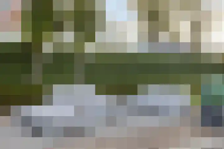 Kraanvogellaan 57 's-Hertogenbosch thumbnail 66