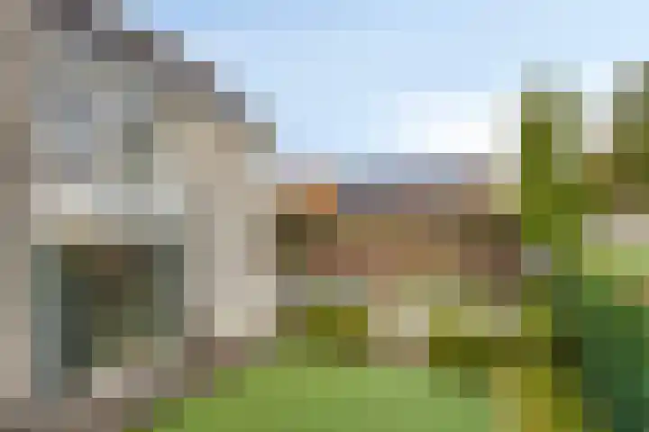 Kraanvogellaan 57 's-Hertogenbosch thumbnail 69