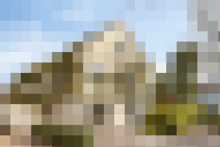 Kraanvogellaan 57 's-Hertogenbosch thumbnail 71