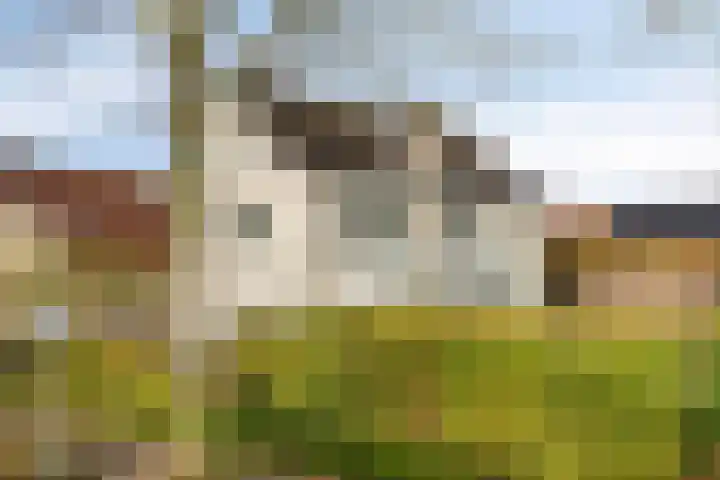 Kraanvogellaan 57 's-Hertogenbosch thumbnail 74
