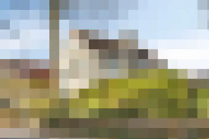 Kraanvogellaan 57 's-Hertogenbosch thumbnail 75