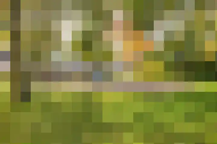 Kraanvogellaan 57 's-Hertogenbosch thumbnail 77