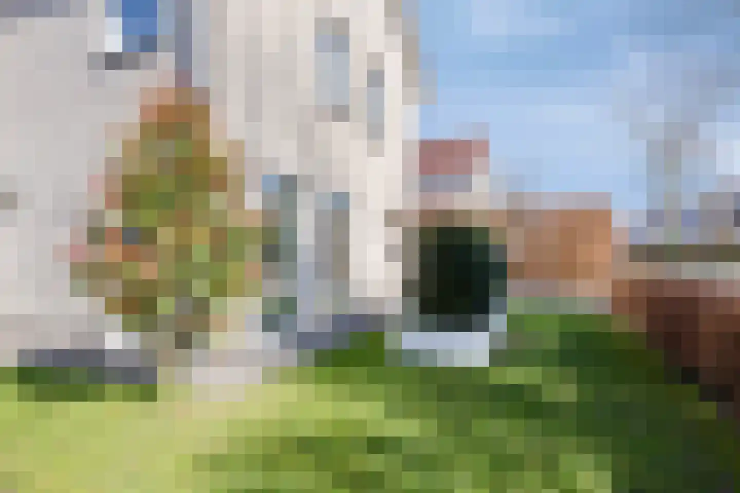 Kraanvogellaan 61 's-Hertogenbosch thumbnail 54