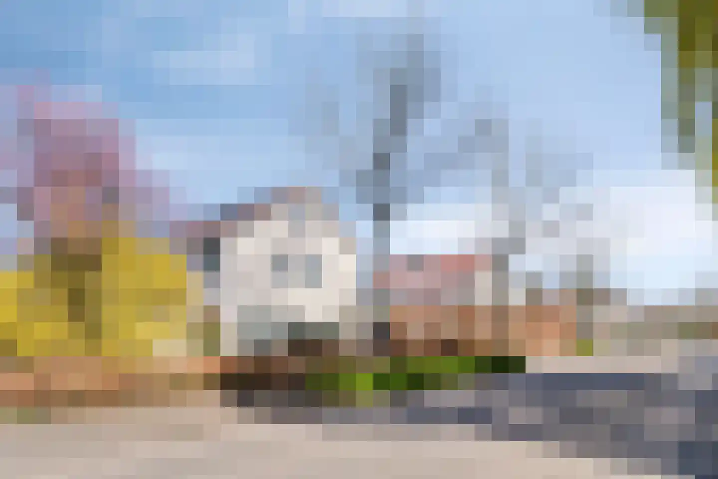 Kraanvogellaan 61 's-Hertogenbosch thumbnail 8