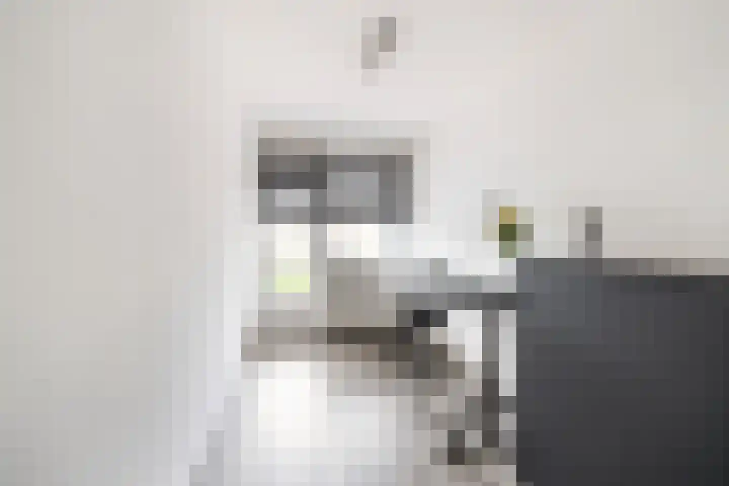 Kraanvogellaan 87 Vlaardingen thumbnail 28