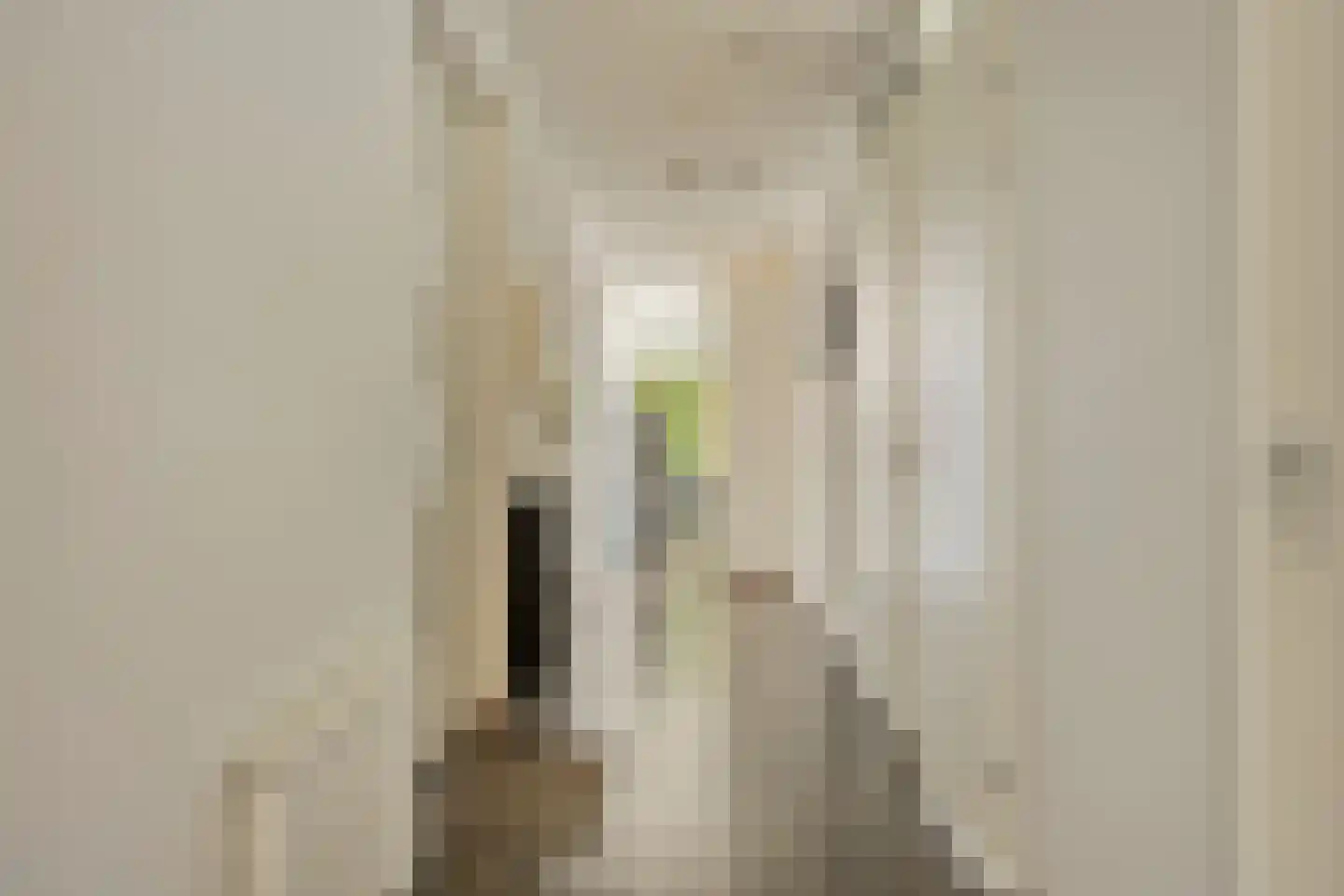 Kraanvogelstraat 102 Groningen thumbnail 19
