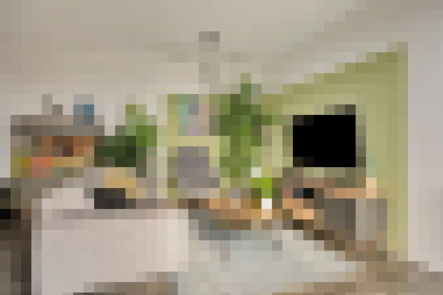 Kraanvogelstraat 102 Groningen thumbnail 20