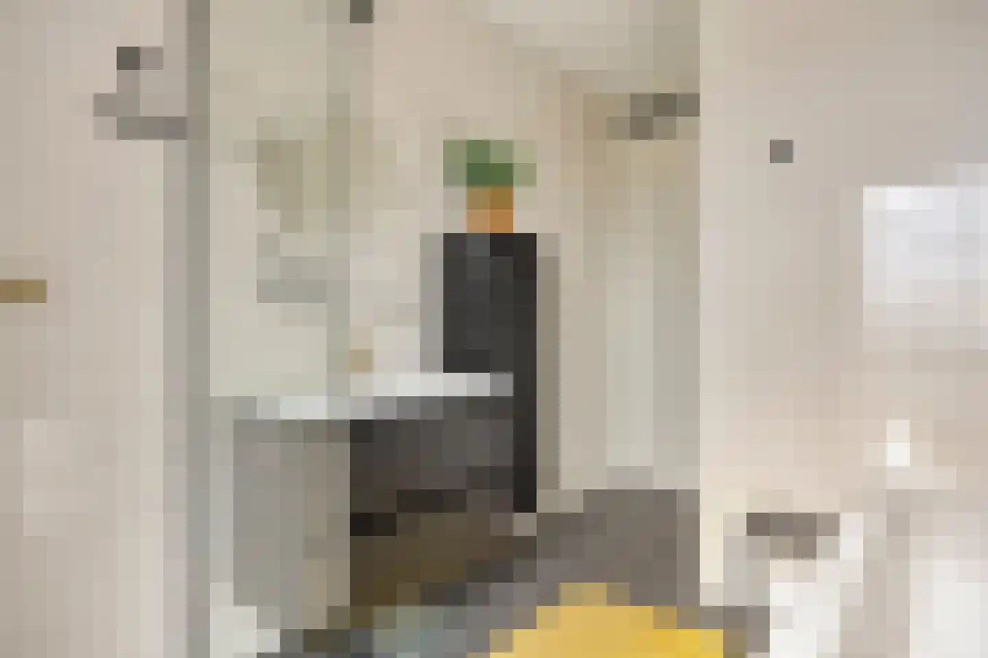 Kraanvogelstraat 102 Groningen thumbnail 31