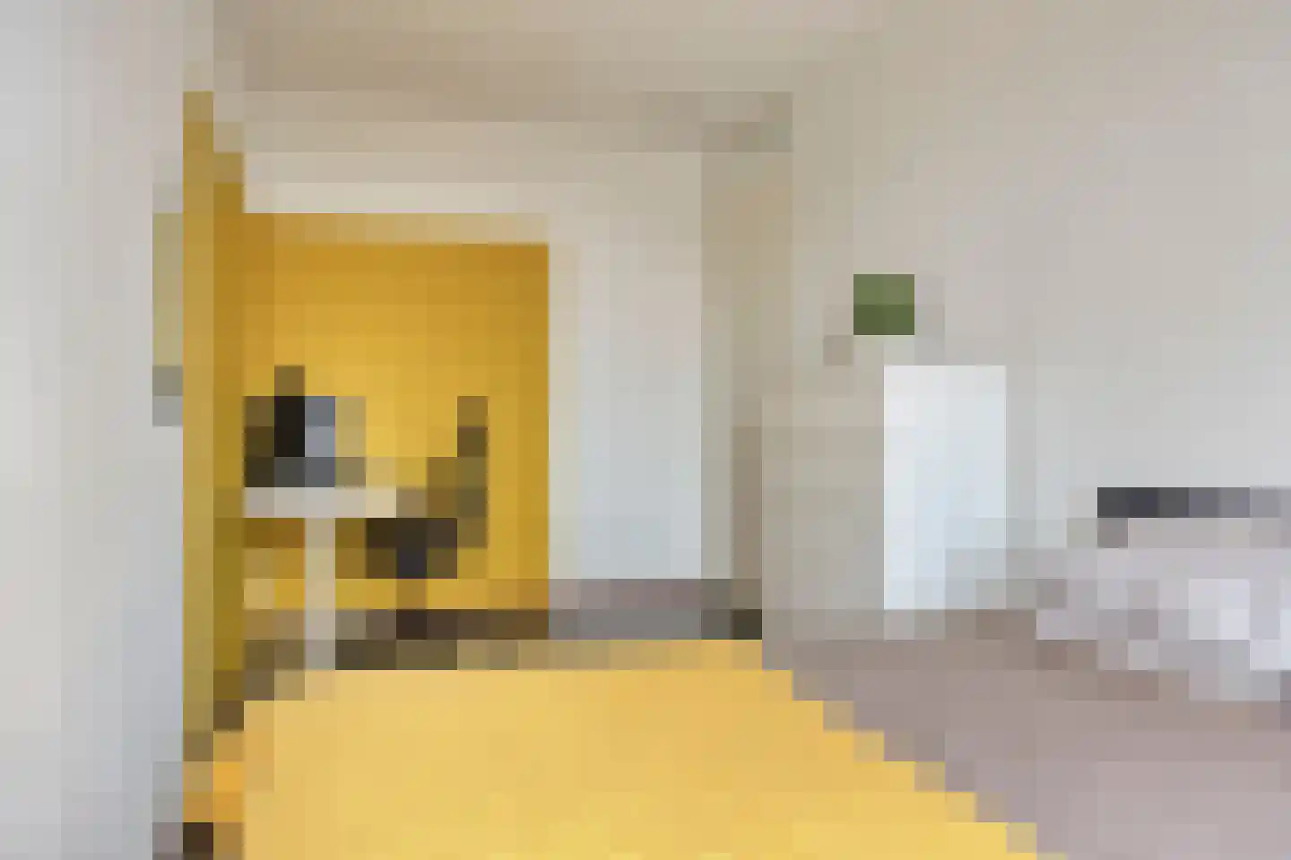 Kraanvogelstraat 102 Groningen thumbnail 35