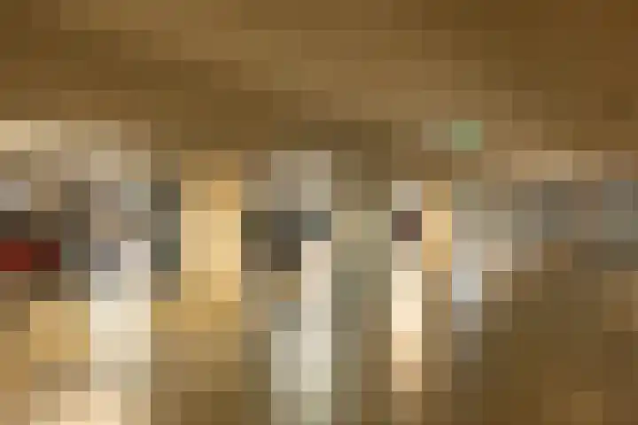 Kraanvogelstraat 106 Groningen thumbnail 4
