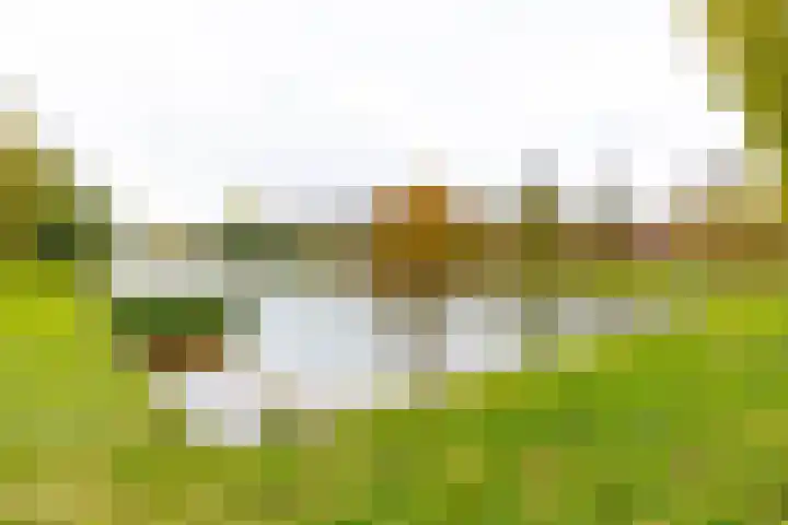 Kraanvogelstraat 106 Groningen thumbnail 43