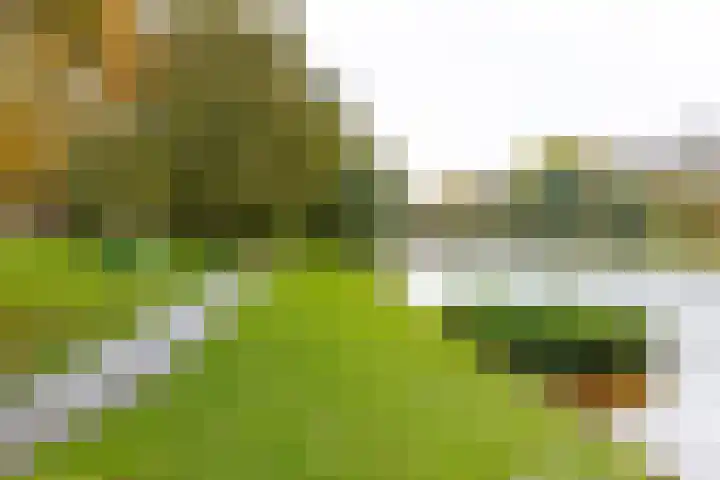 Kraanvogelstraat 106 Groningen thumbnail 44