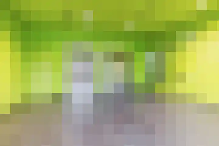 Kraanvogelstraat 106 Groningen thumbnail 9