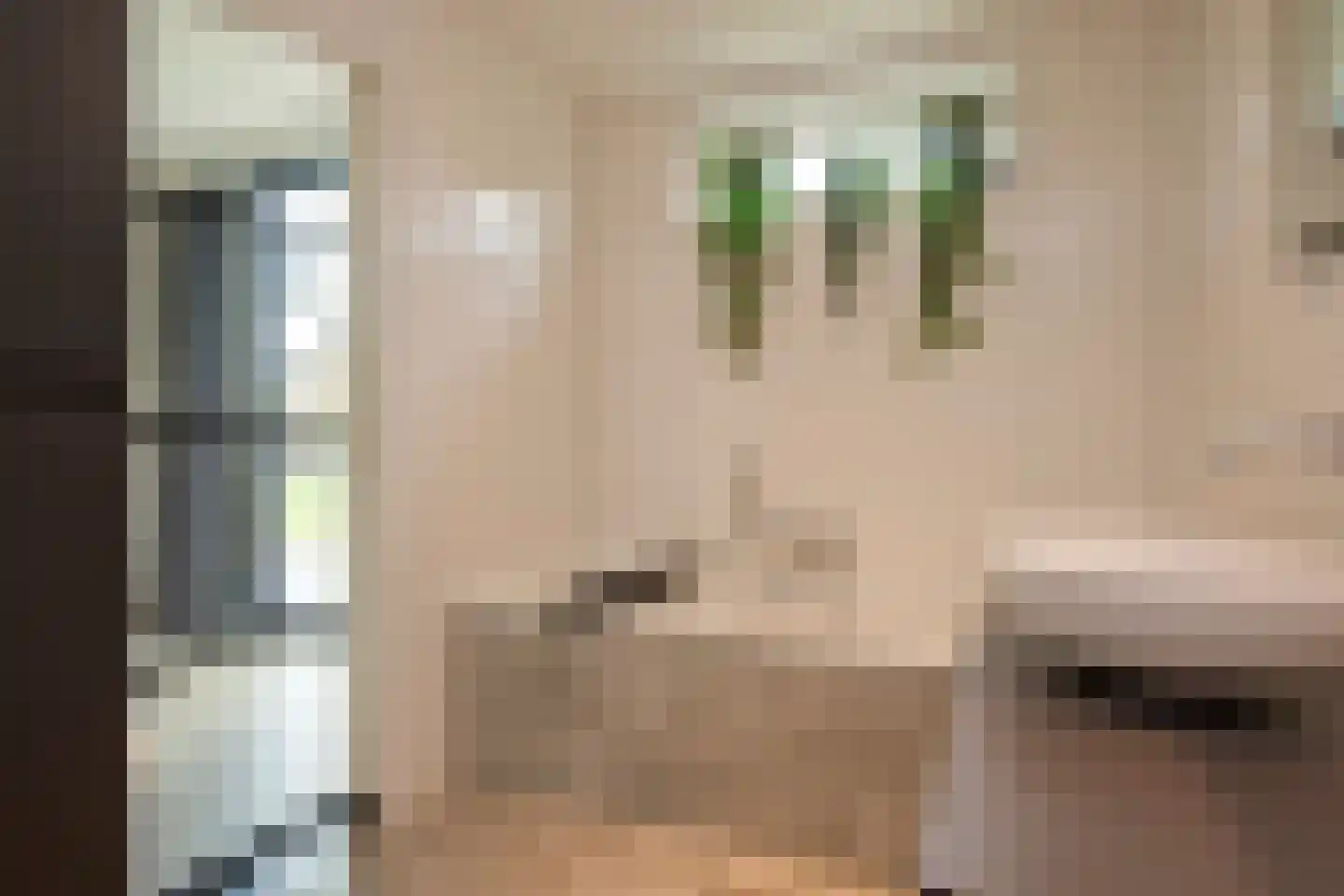 Kraanvogelstraat 11 Velp thumbnail 15