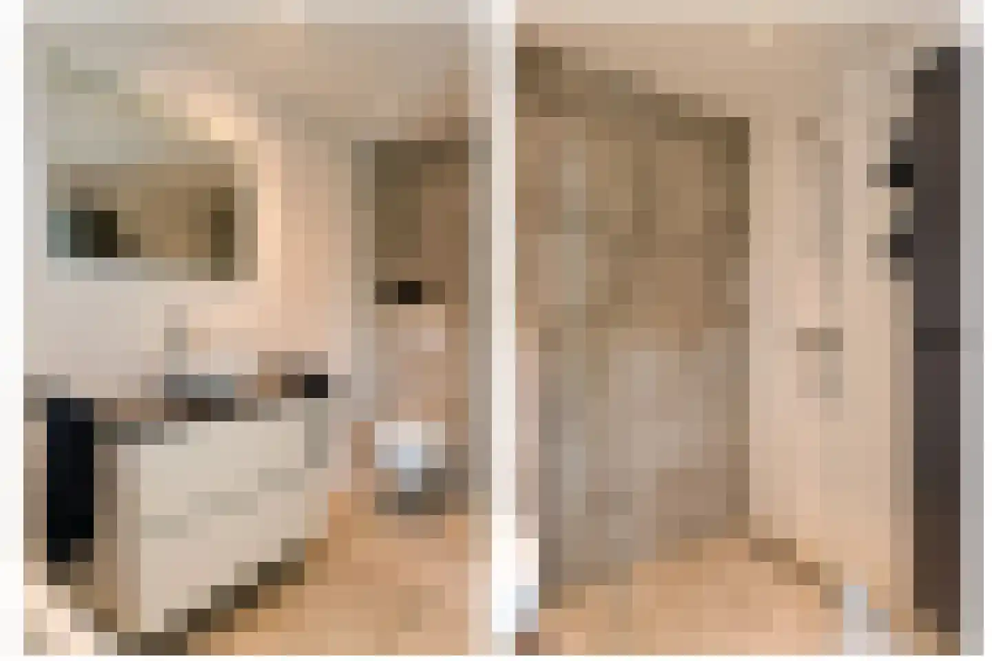 Kraanvogelstraat 11 Velp thumbnail 16