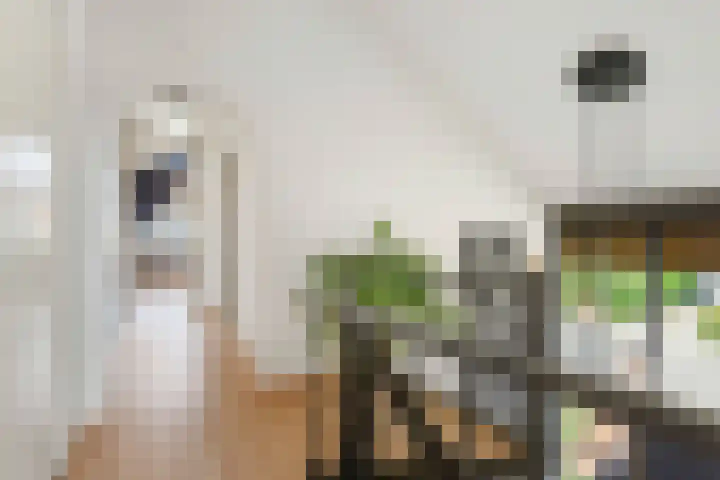 Kraanvogelstraat 11 Velp thumbnail 18