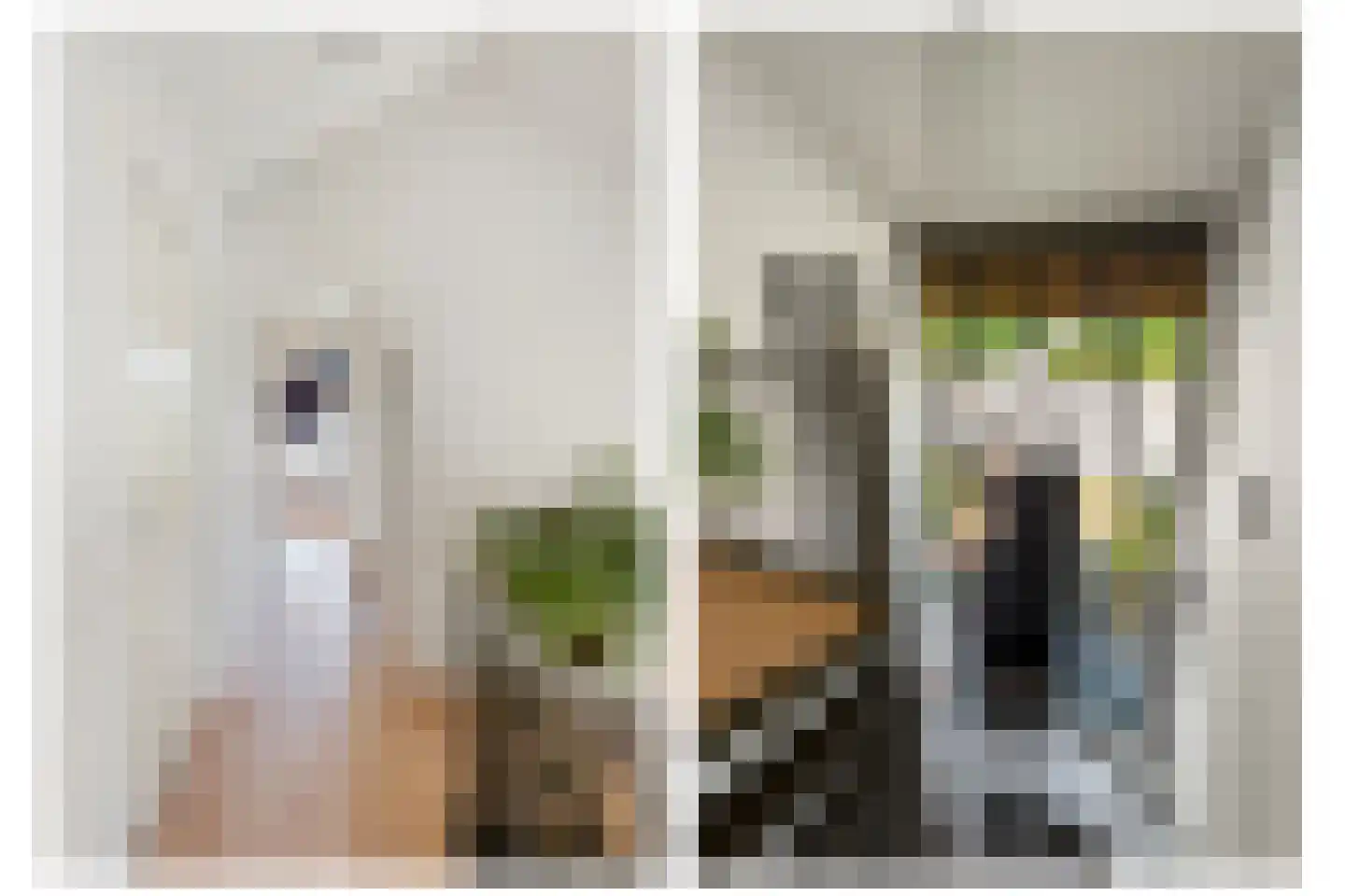 Kraanvogelstraat 11 Velp thumbnail 19