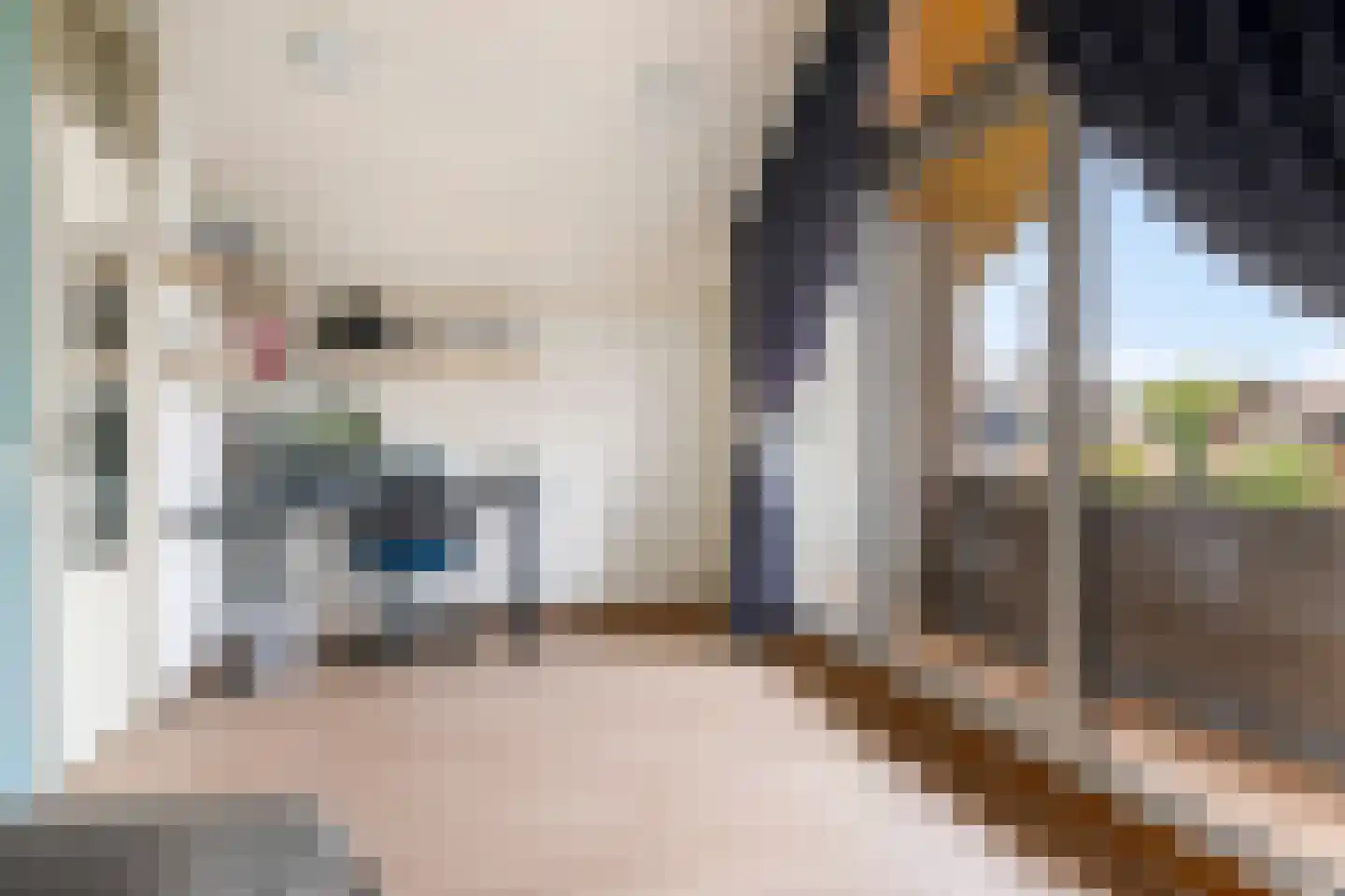 Kraanvogelstraat 11 Velp thumbnail 25