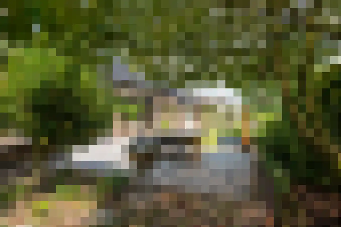 Kraanvogelstraat 11 Velp thumbnail 29