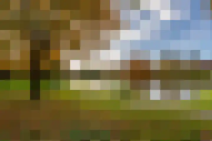 Kraanvogelstraat 112 Groningen thumbnail 34