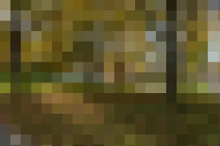Kraanvogelstraat 112 Groningen thumbnail 35