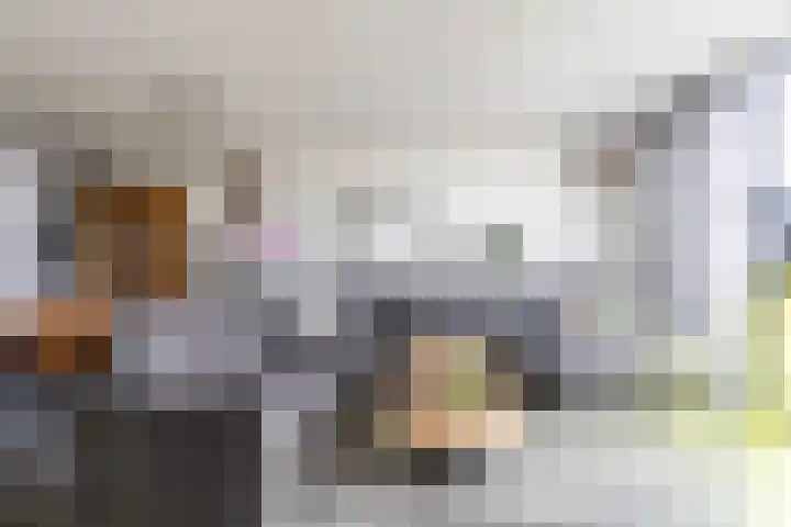 Kraanvogelstraat 128 Groningen thumbnail 14