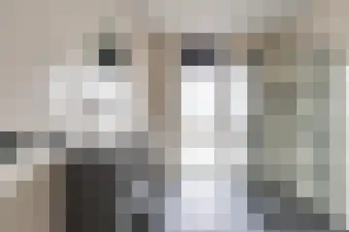 Kraanvogelstraat 128 Groningen thumbnail 27
