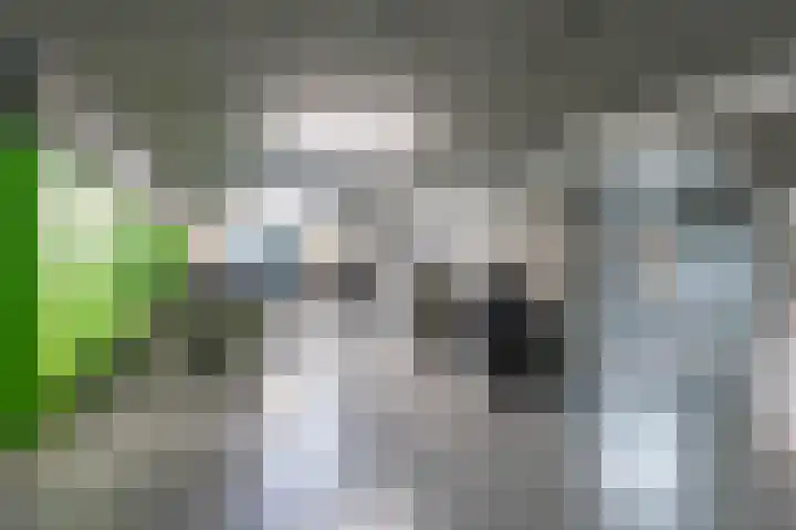 Kraanvogelstraat 128 Groningen thumbnail 38