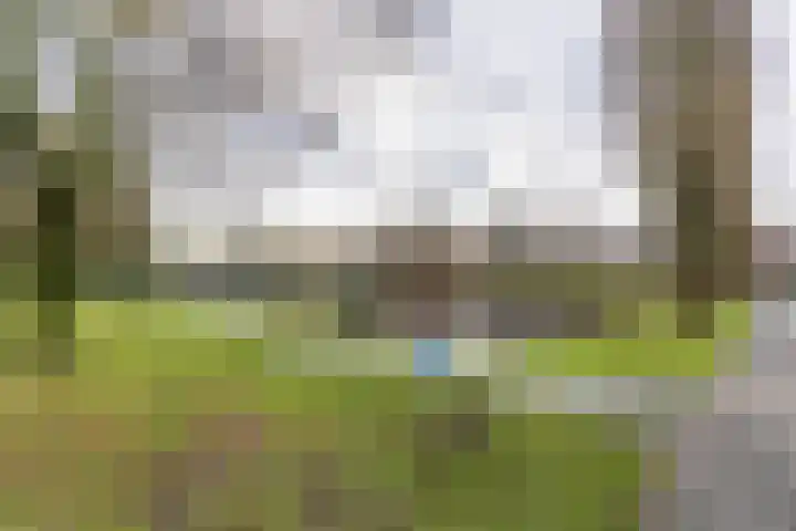 Kraanvogelstraat 128 Groningen thumbnail 41