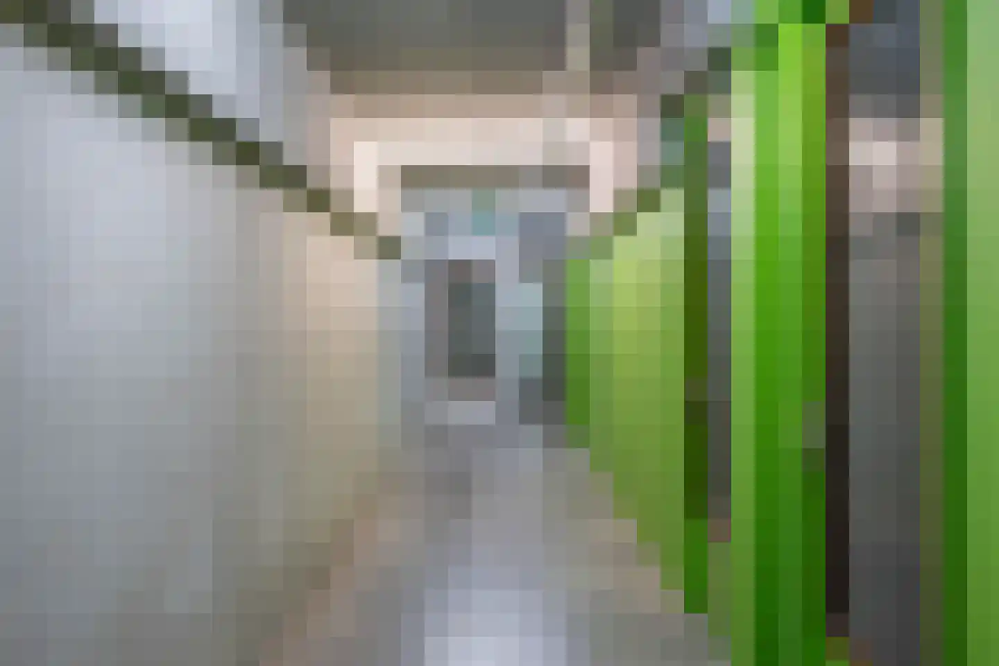 Kraanvogelstraat 154 Groningen thumbnail 30