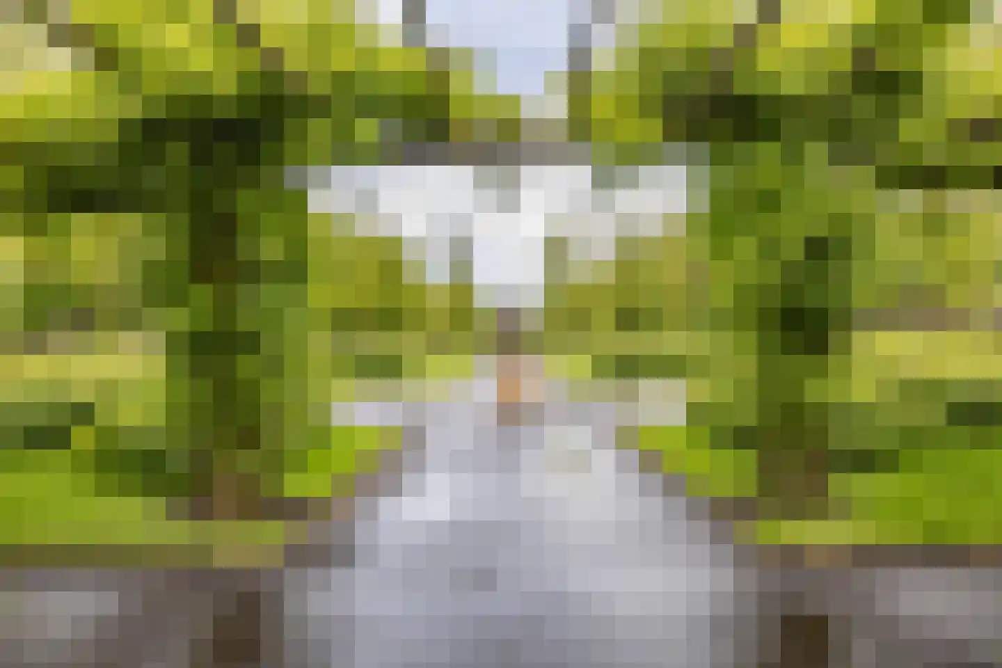 Kraanvogelstraat 154 Groningen thumbnail 35
