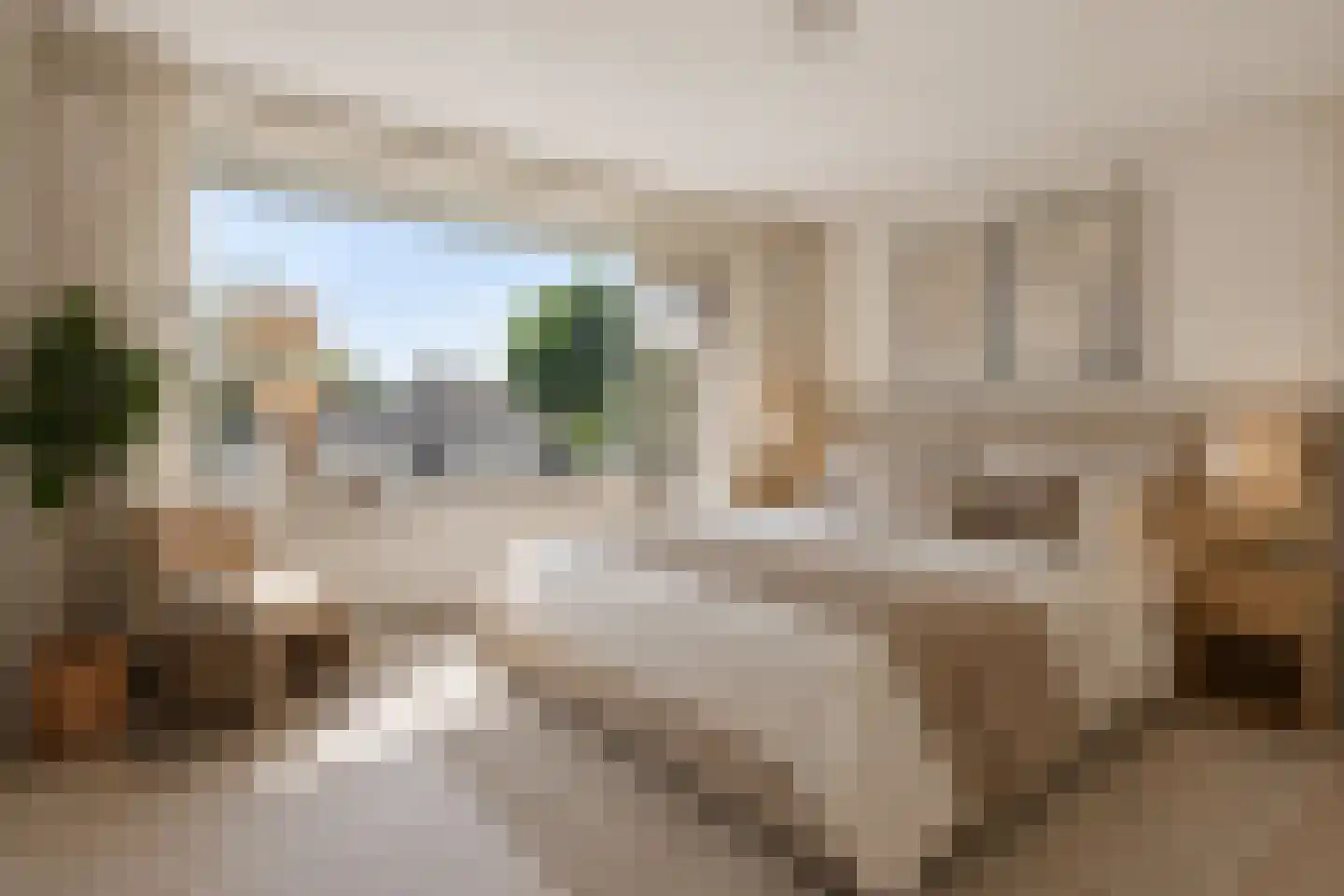 Kraanvogelstraat 36 Velp thumbnail 20