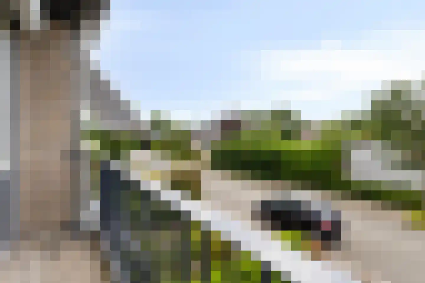Kraanvogelstraat 36 Velp thumbnail 22