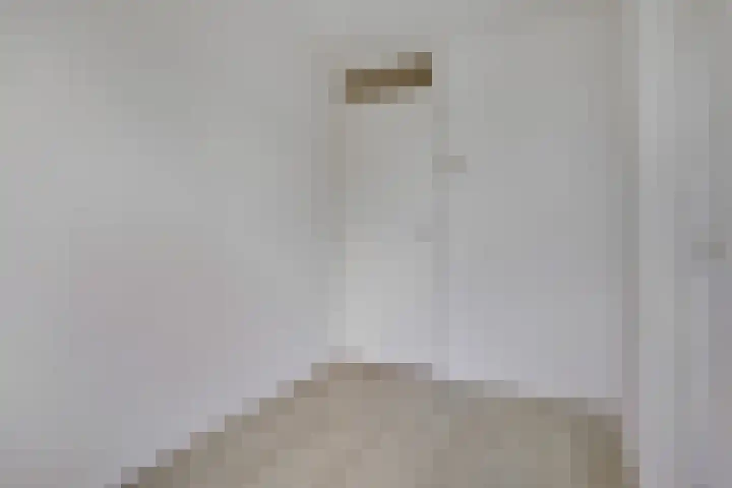 Kraanvogelstraat 36 Velp thumbnail 25