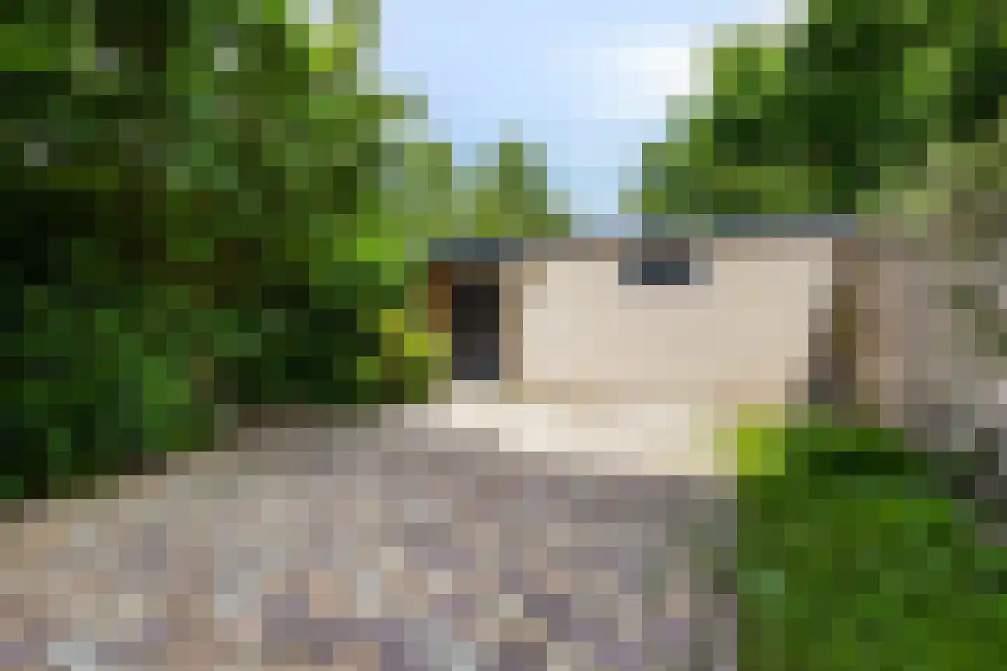 Kraanvogelstraat 36 Velp thumbnail 35