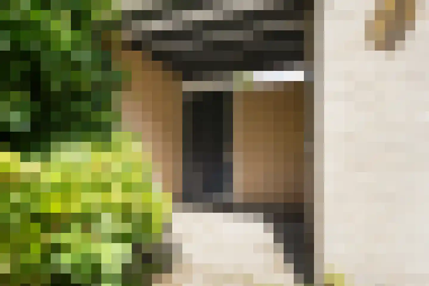 Kraanvogelstraat 36 Velp thumbnail 36