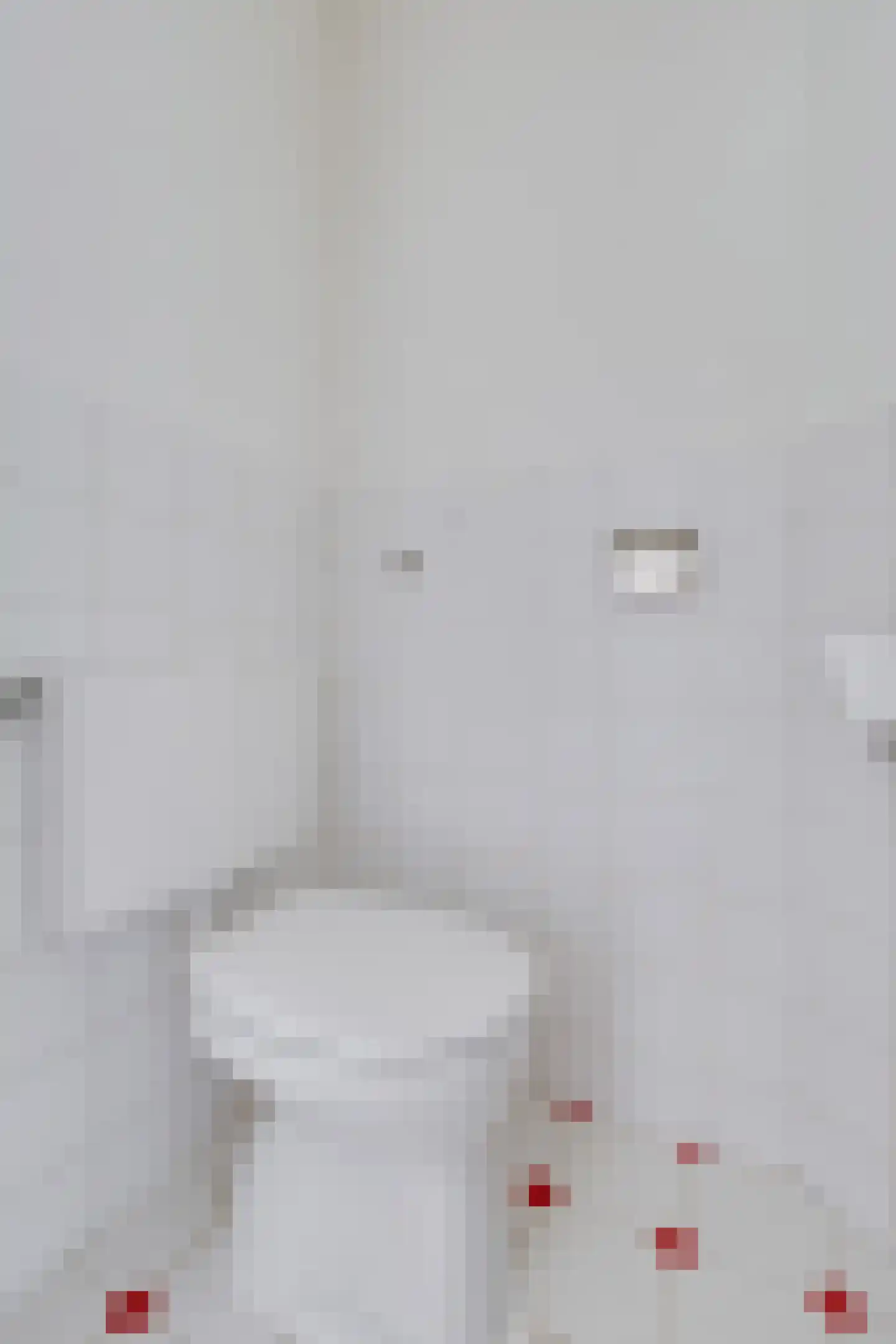 Kraanvogelstraat 36 Velp thumbnail 6