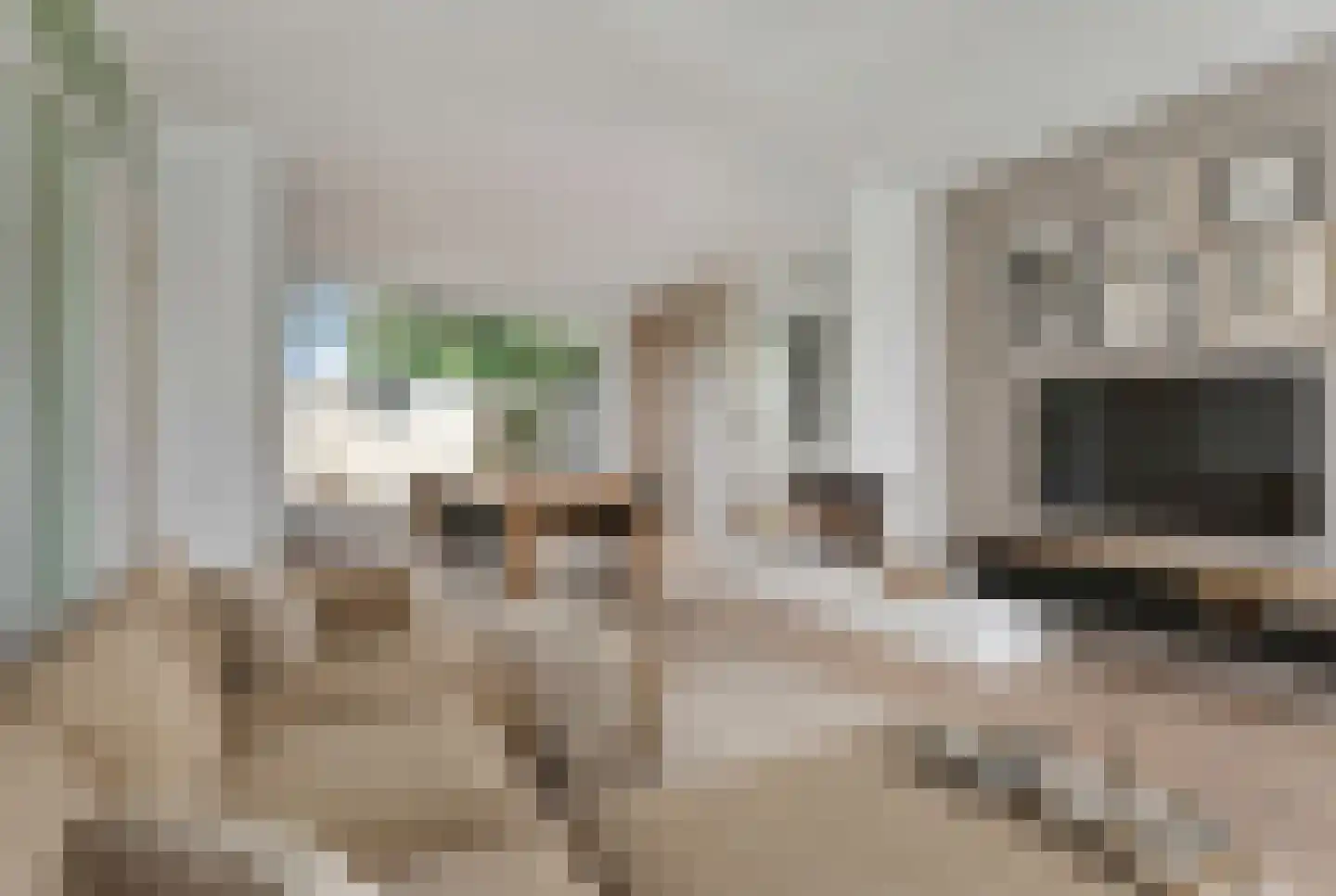 Kraanvogelstraat 36 Velp thumbnail 9