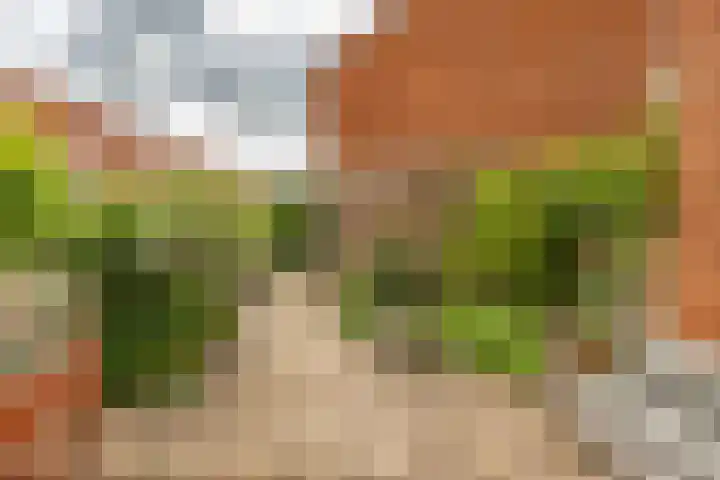 Kraanvogelstraat 37 Groningen thumbnail 17