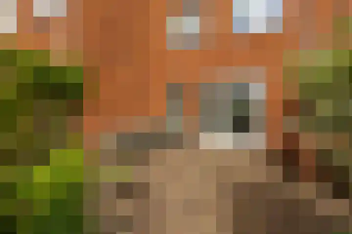 Kraanvogelstraat 37 Groningen thumbnail 18