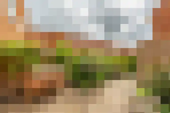 Kraanvogelstraat 37 Groningen thumbnail 19