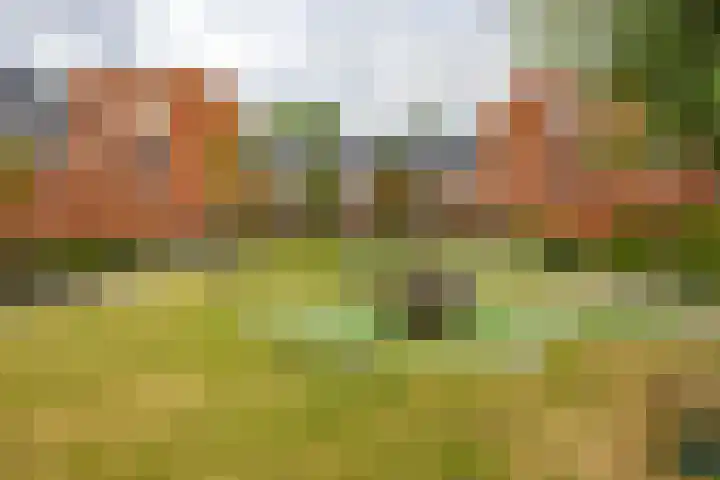 Kraanvogelstraat 37 Groningen thumbnail 36