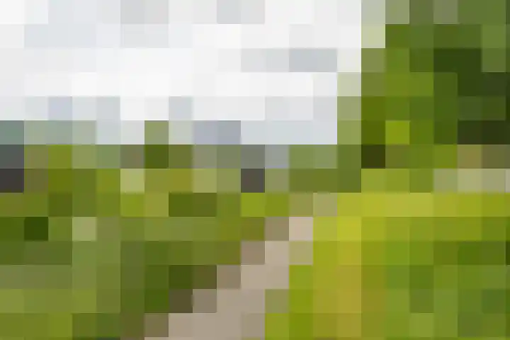 Kraanvogelstraat 37 Groningen thumbnail 37