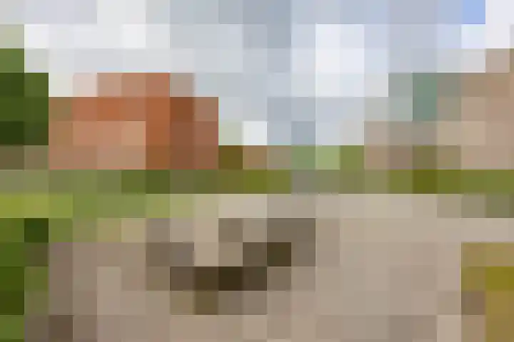 Kraanvogelstraat 37 Groningen thumbnail 38