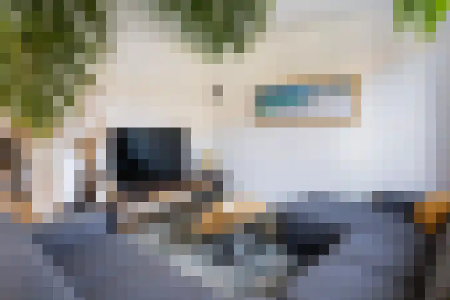 Kraanvogelstraat 8 Wijchen thumbnail 10