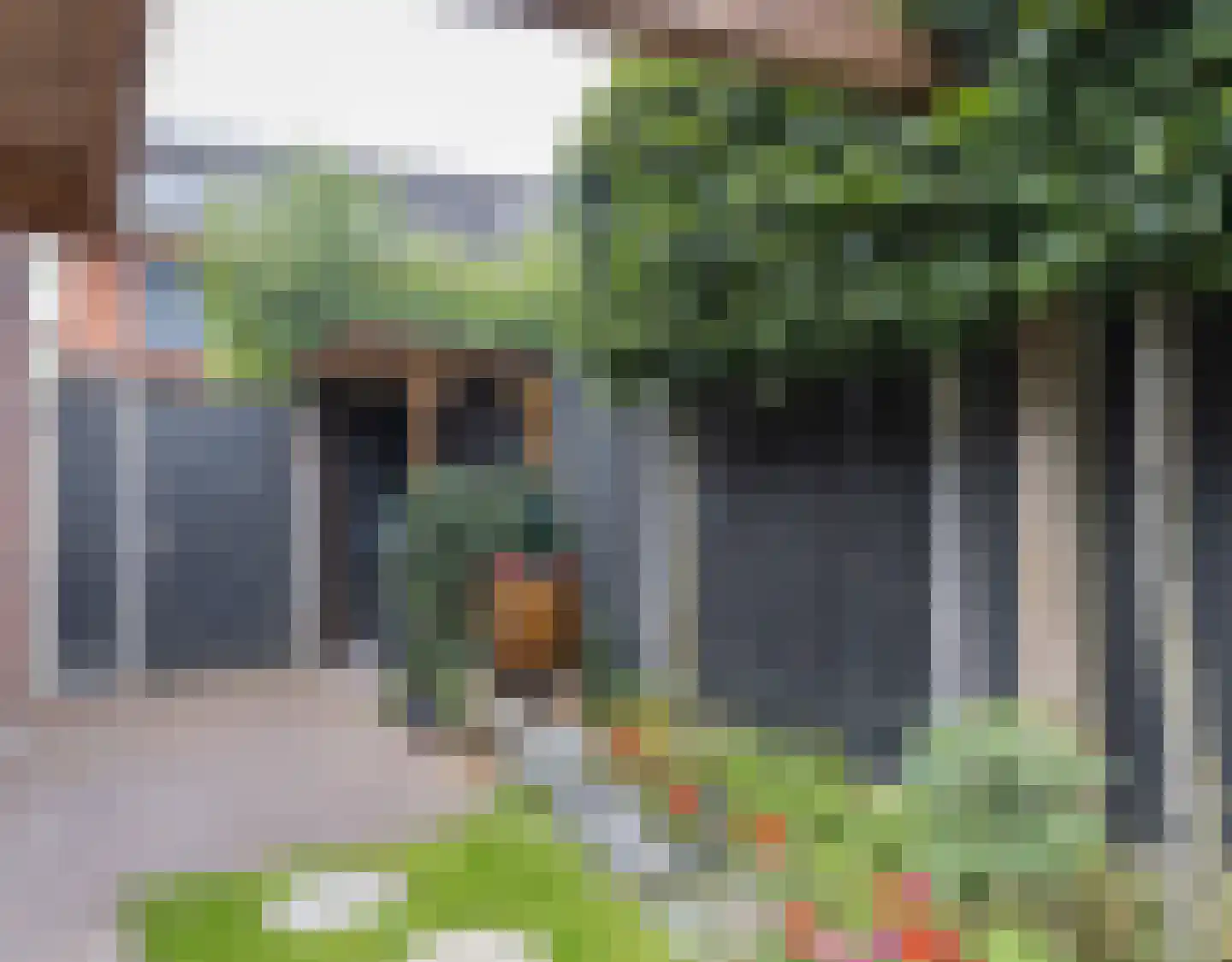 Kraanvogelstraat 8 Wijchen thumbnail 39